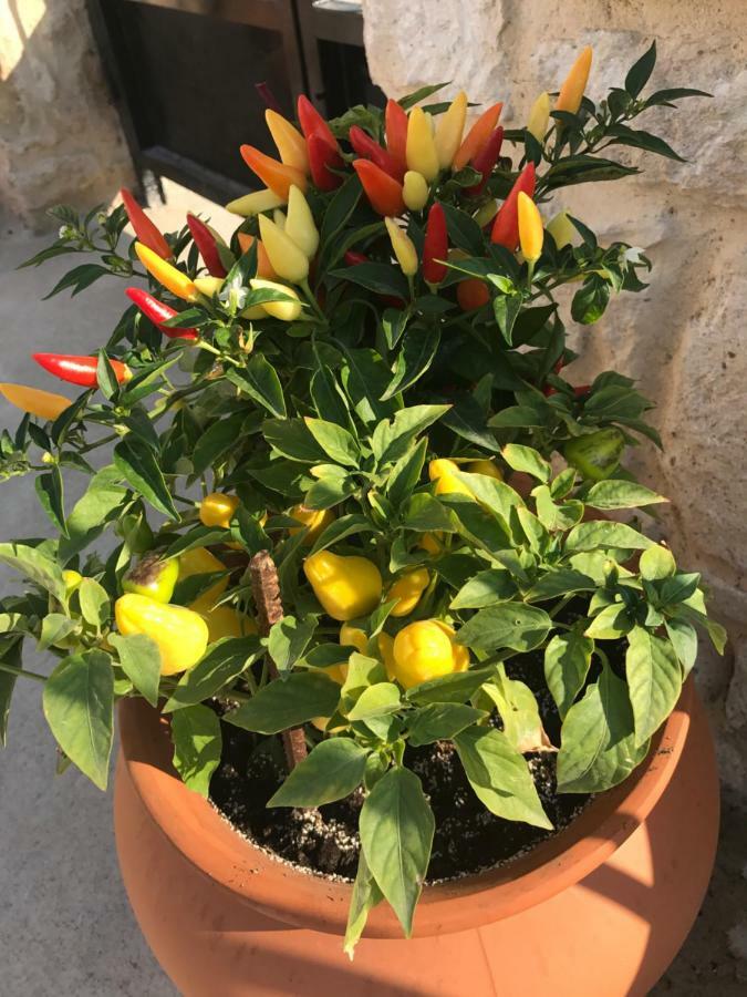 Villa Bio Garden Stonehouse Gonia Exterior foto