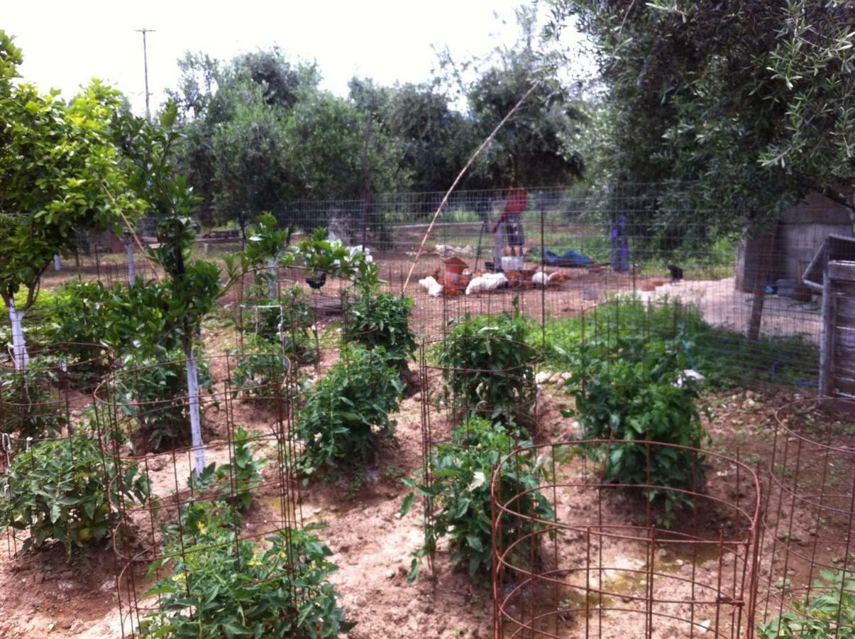 Villa Bio Garden Stonehouse Gonia Exterior foto